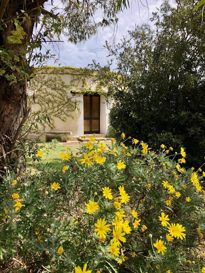 Masseria La Torre Maglie Exterior photo